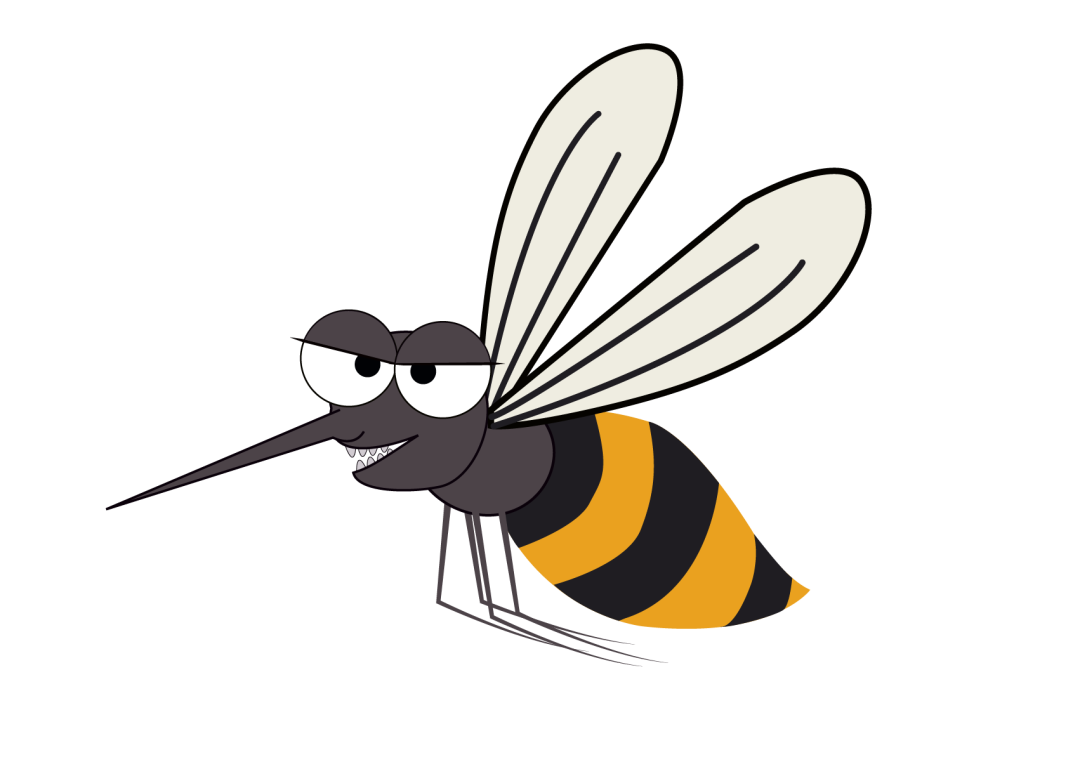 11.png
