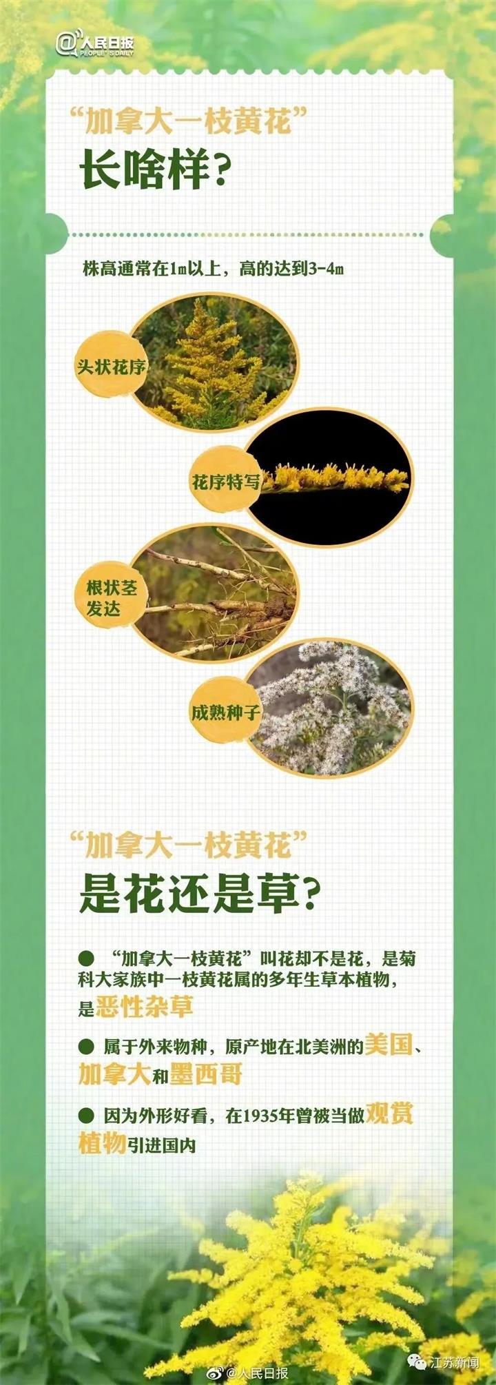 微信图片_20231030112355.jpg