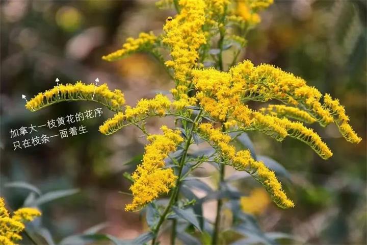 微信图片_20231030112416.jpg