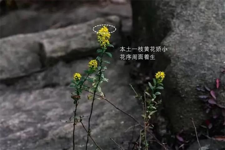 微信图片_20231030112419.jpg