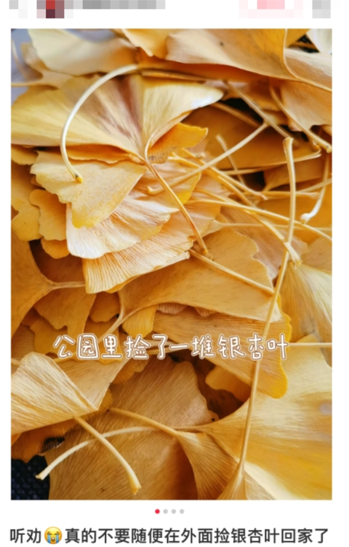 微信图片_20231205150436.png